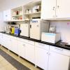Laboratory room for experimental sperm preparation